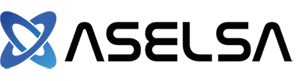 ASELSA - Ihr IT Unternehmen in Mannheim, Ludwigshafen und Heidelberg