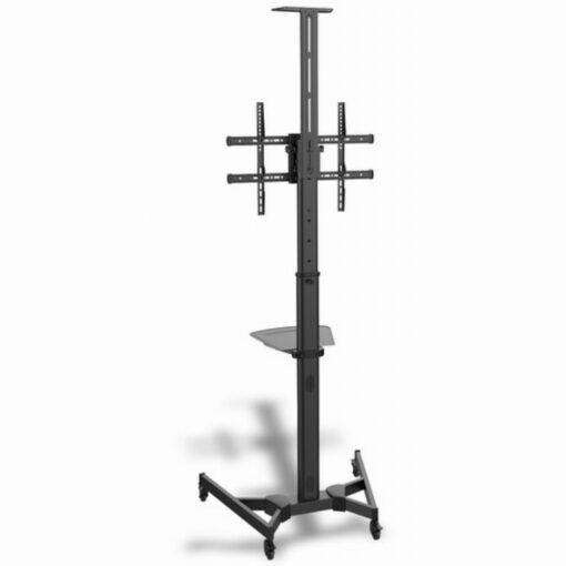 225717 Product
