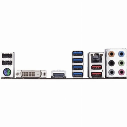 239623 Product