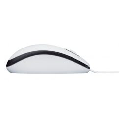 240111 Product