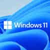 win11