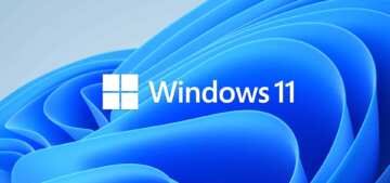 win11